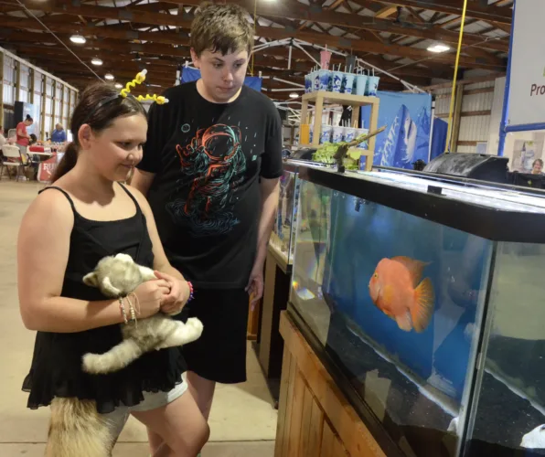 New aquarium scales up the fun at Trumbull County Fair